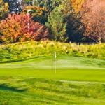 Eaglesticks Golf