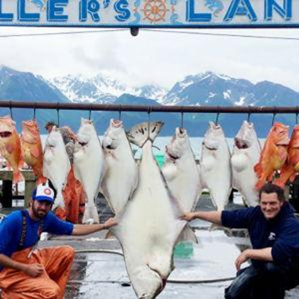 Ocean Fishing Adventure