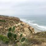 Torrey Pines Gliderport