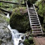 Steep Ravine Trail