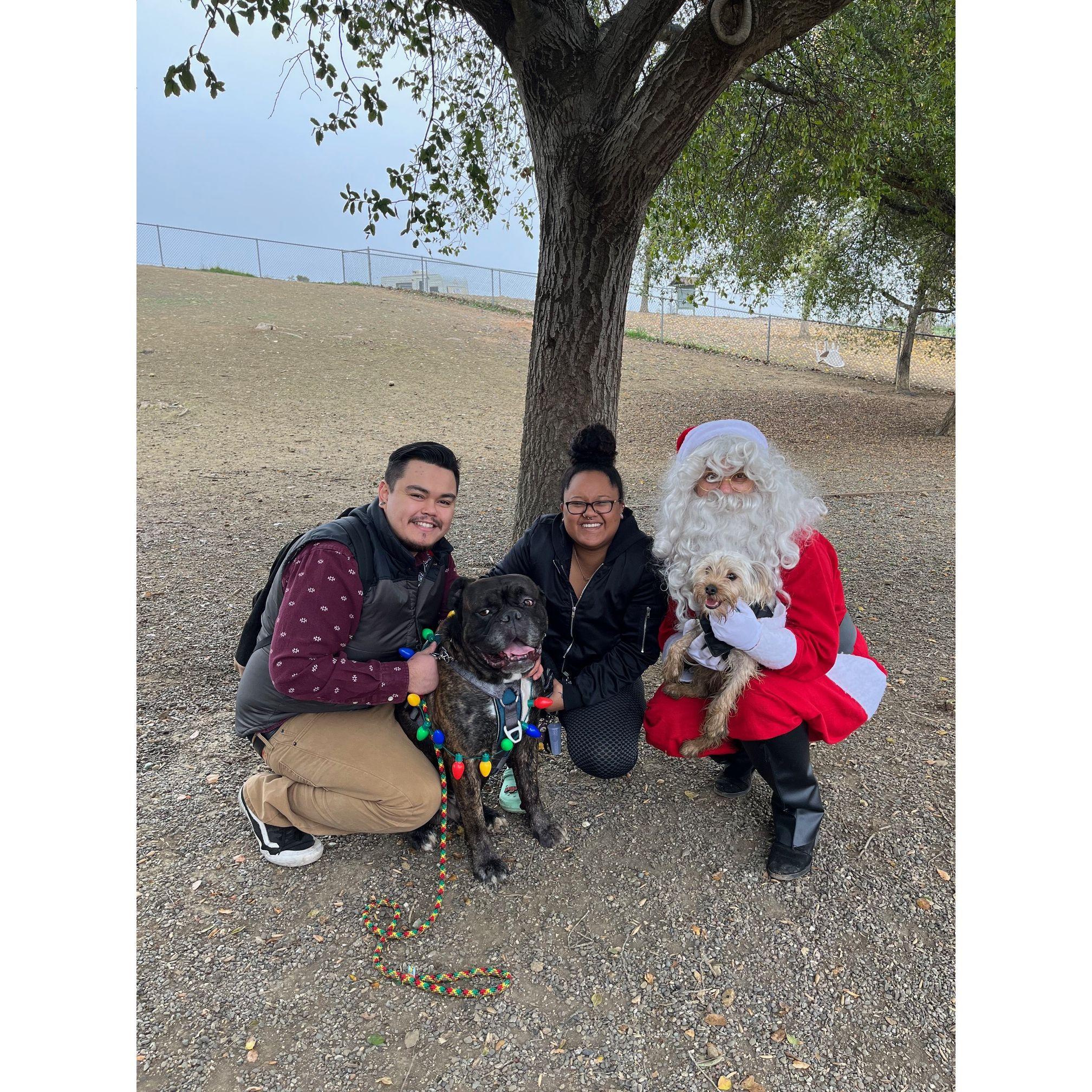 Of course, had to take our kids to see Santa at the dog park