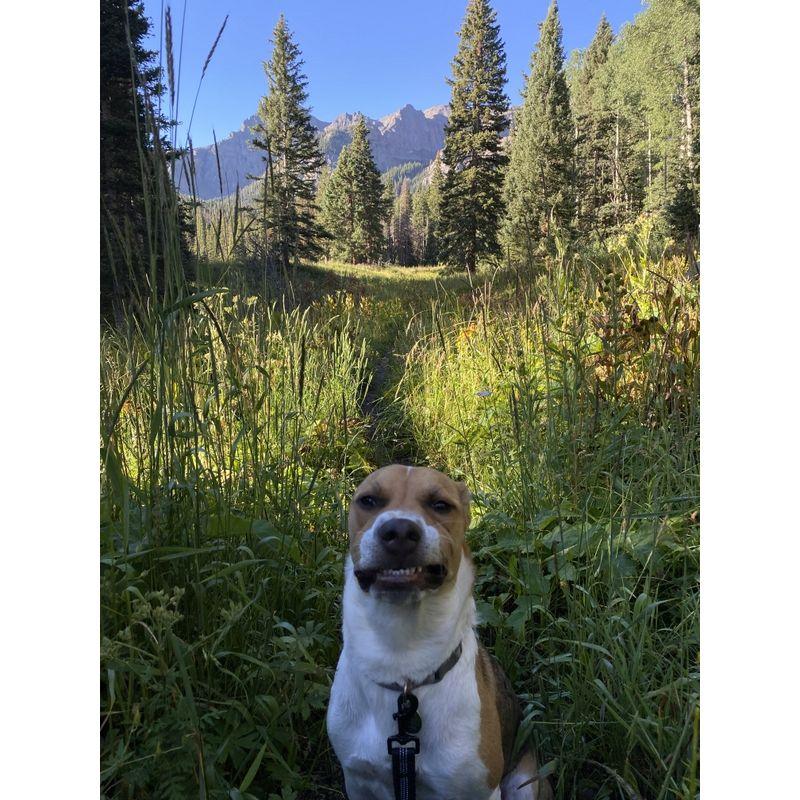 Telluride, Colorado | Nevertheless, Leo's the best.