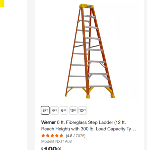 8 foot ladder