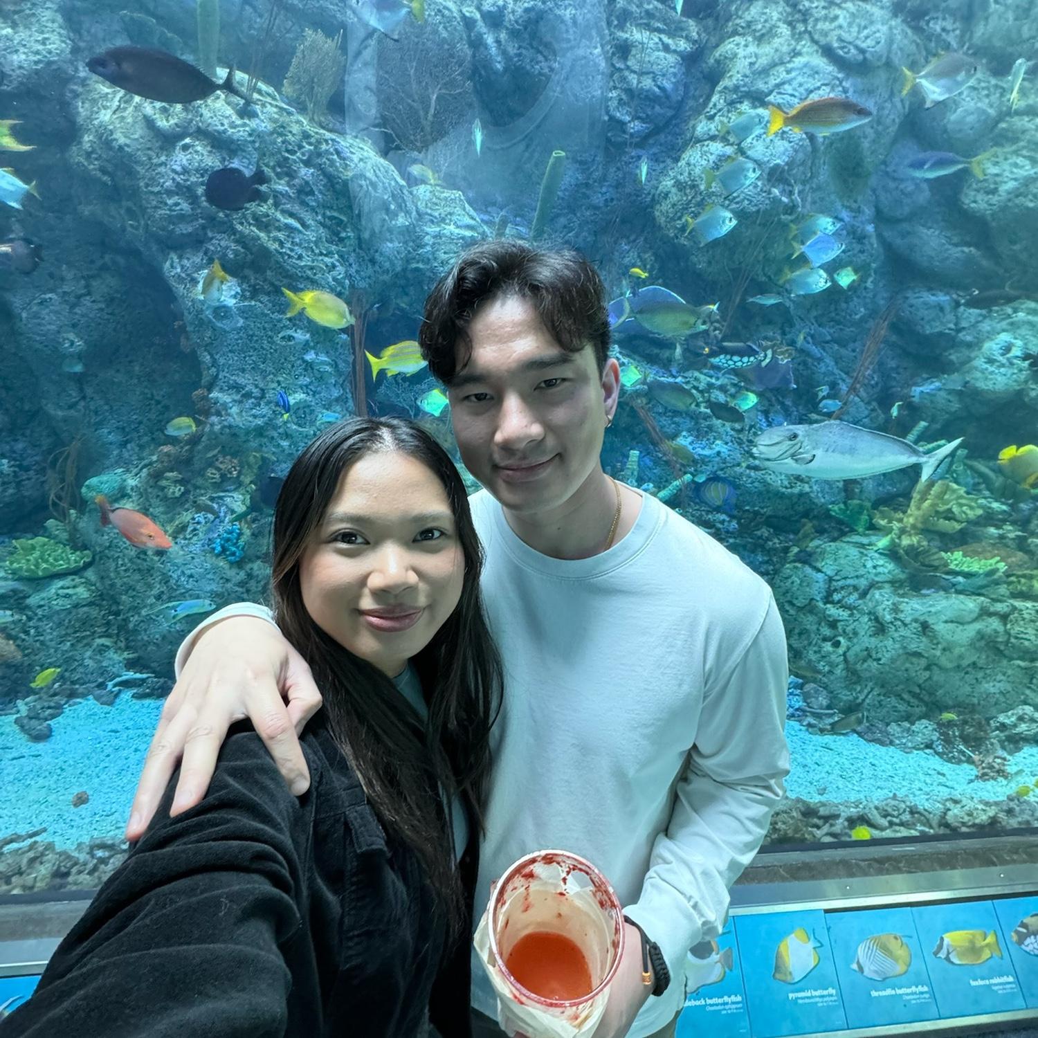Aquarium Date