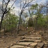 Turkey Mountain