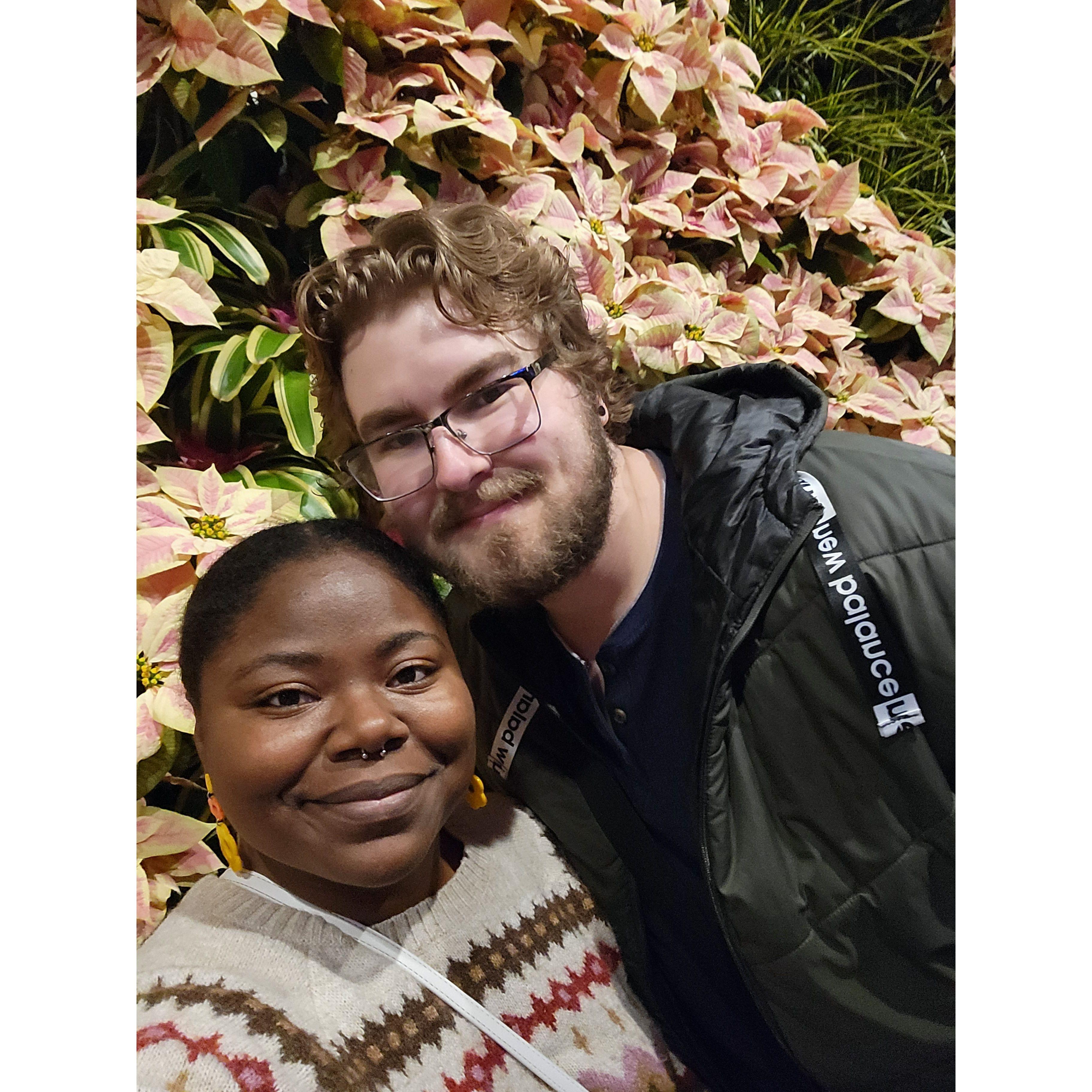 Botanical Gardens at Christmastime