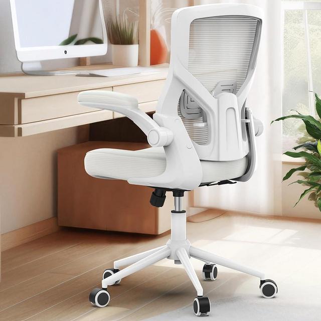 CYKOV Office Chair, High Back Desk Chair Adjustable Height and Ergonomic Design Home Office Computer Chair Executive Lumbar Support Padded Flip-up Armrest Swivel Task Chair