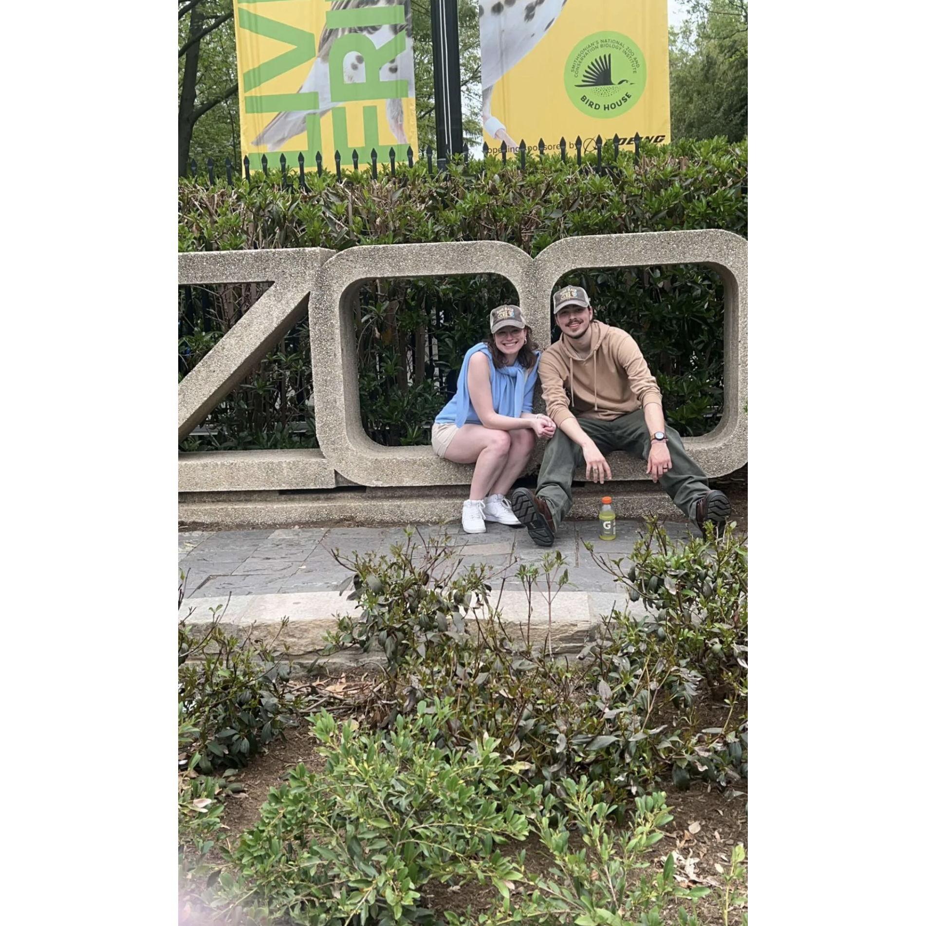 Day Trip to the DC Zoo!