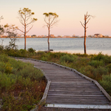 Gulf State Park