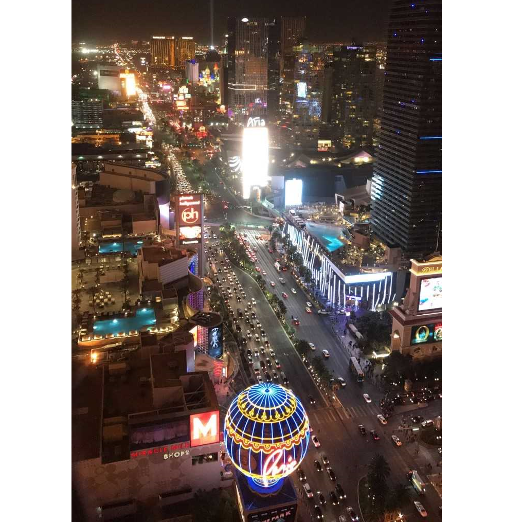 The view from the top of the Eiffel Tower, right after Jerry proposed!
Las Vegas, NV
February 10, 2018