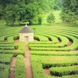 Harmonist Labyrinth