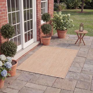 Courtyard Jonell Area Rug