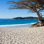 Carmel Beach