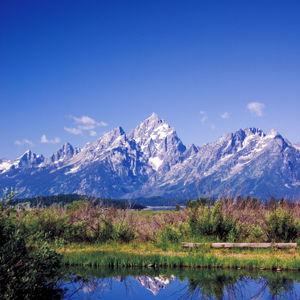 Yellowstone Honeymoon Adventure Fund