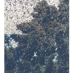 Donate to The Jenni Crain Foundation