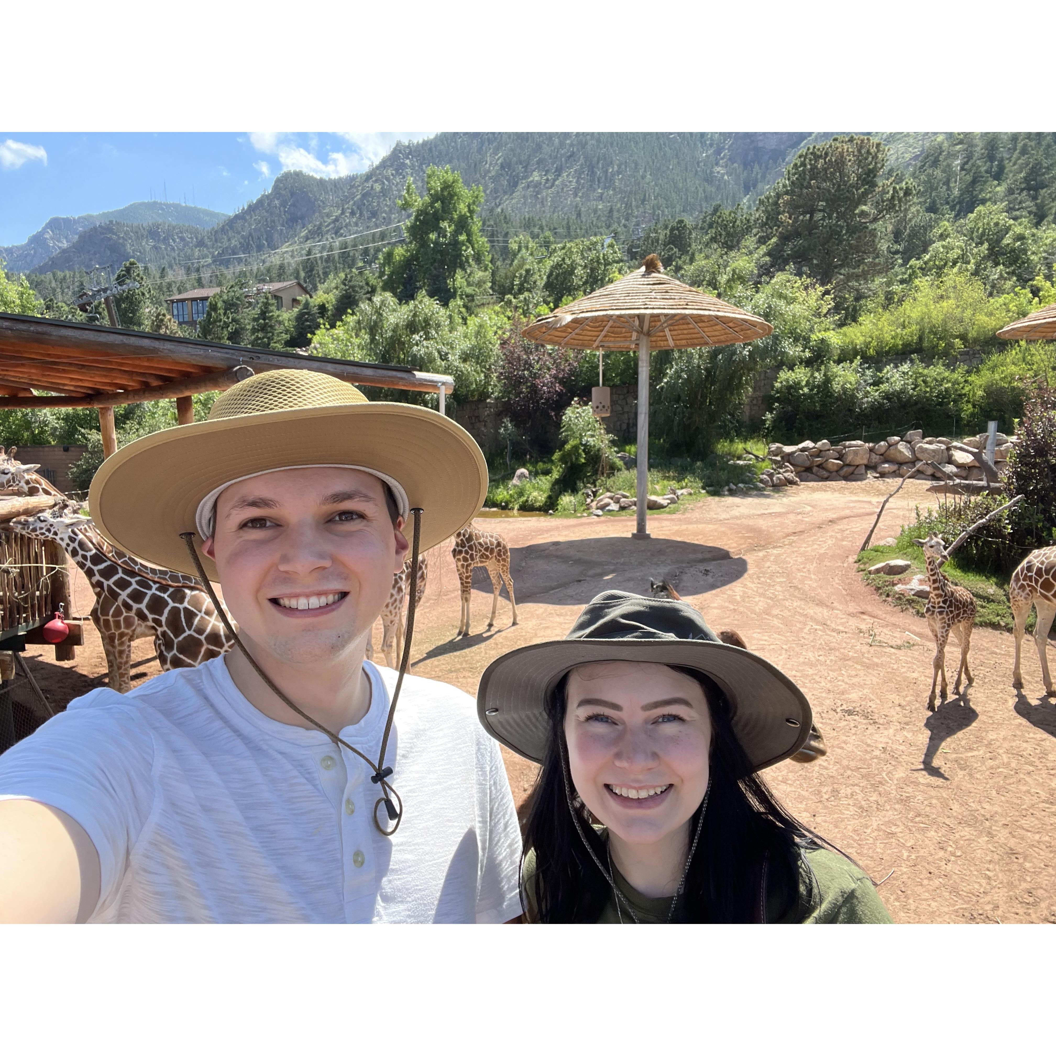 Cheyenne Mountain Zoo, July 2023