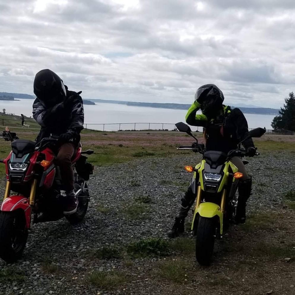 Summer fun 2019