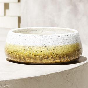 Safi Succulent Planter