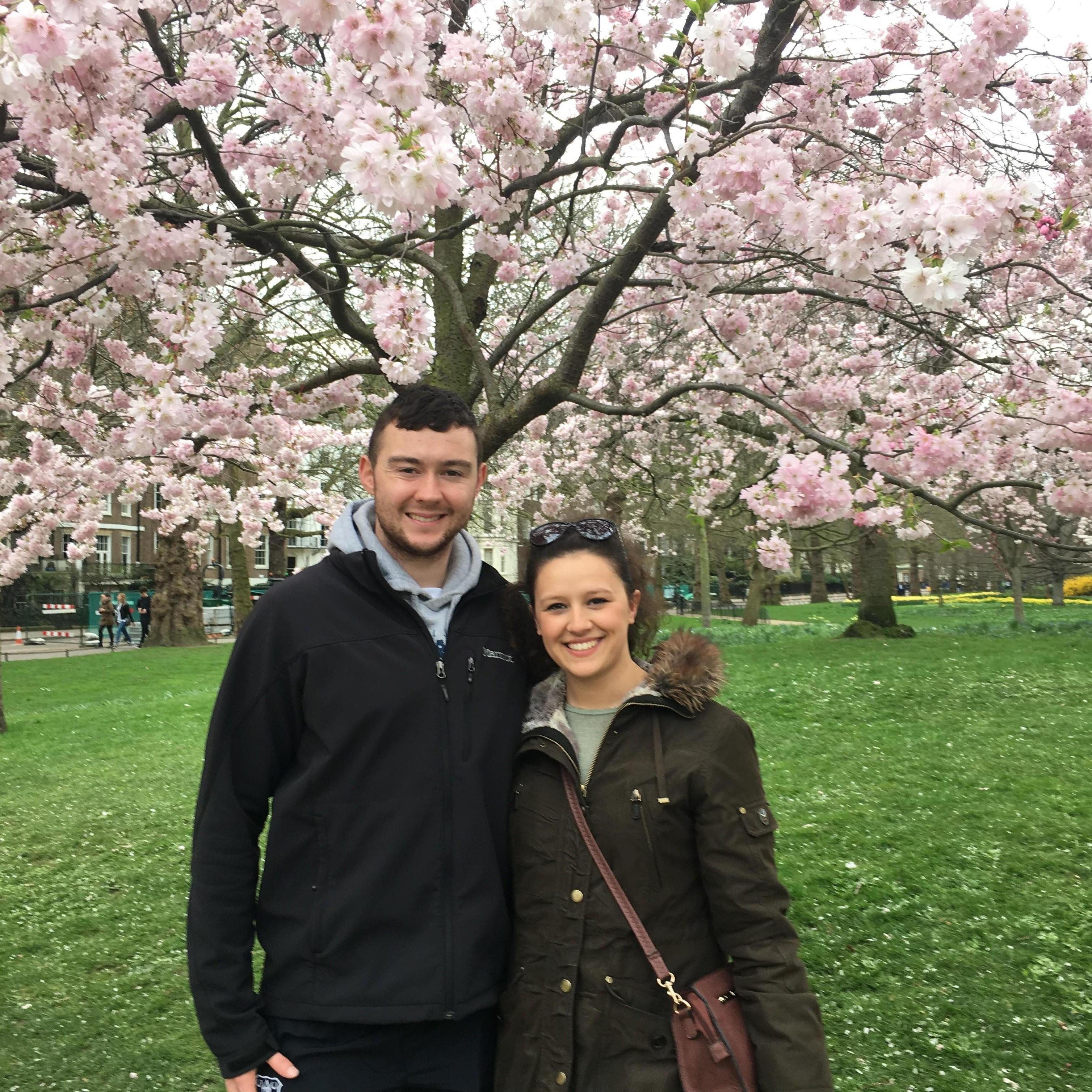 St. James' Park in London in 2017