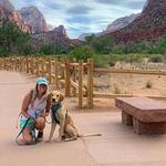 Utah National Parks Opt 1: Zion & Bryce