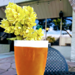 Asher Brewing Company