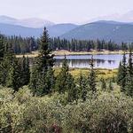 Shared Half-Day Mountain Tour in Red Rocks Evergreen and Echo Lake