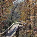 Craighead Forest Park