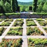 North Carolina Arboretum
