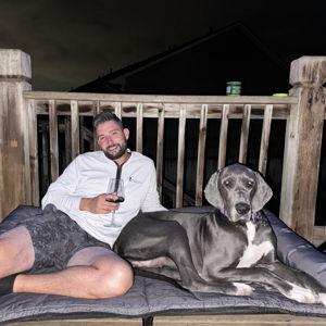Save Rocky the Great Dane Rescue & Rehab