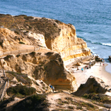 Torrey Pines State Reserve