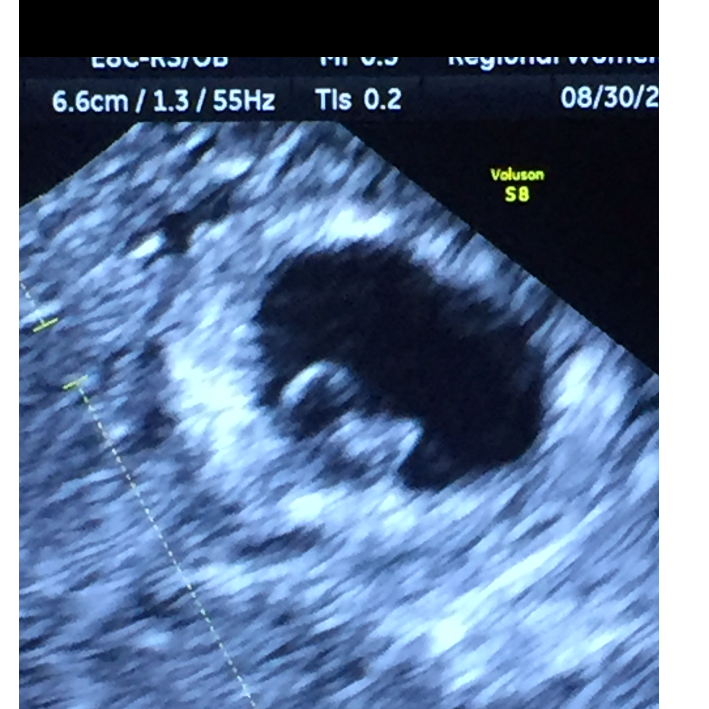 David Jr.'s First photo :)