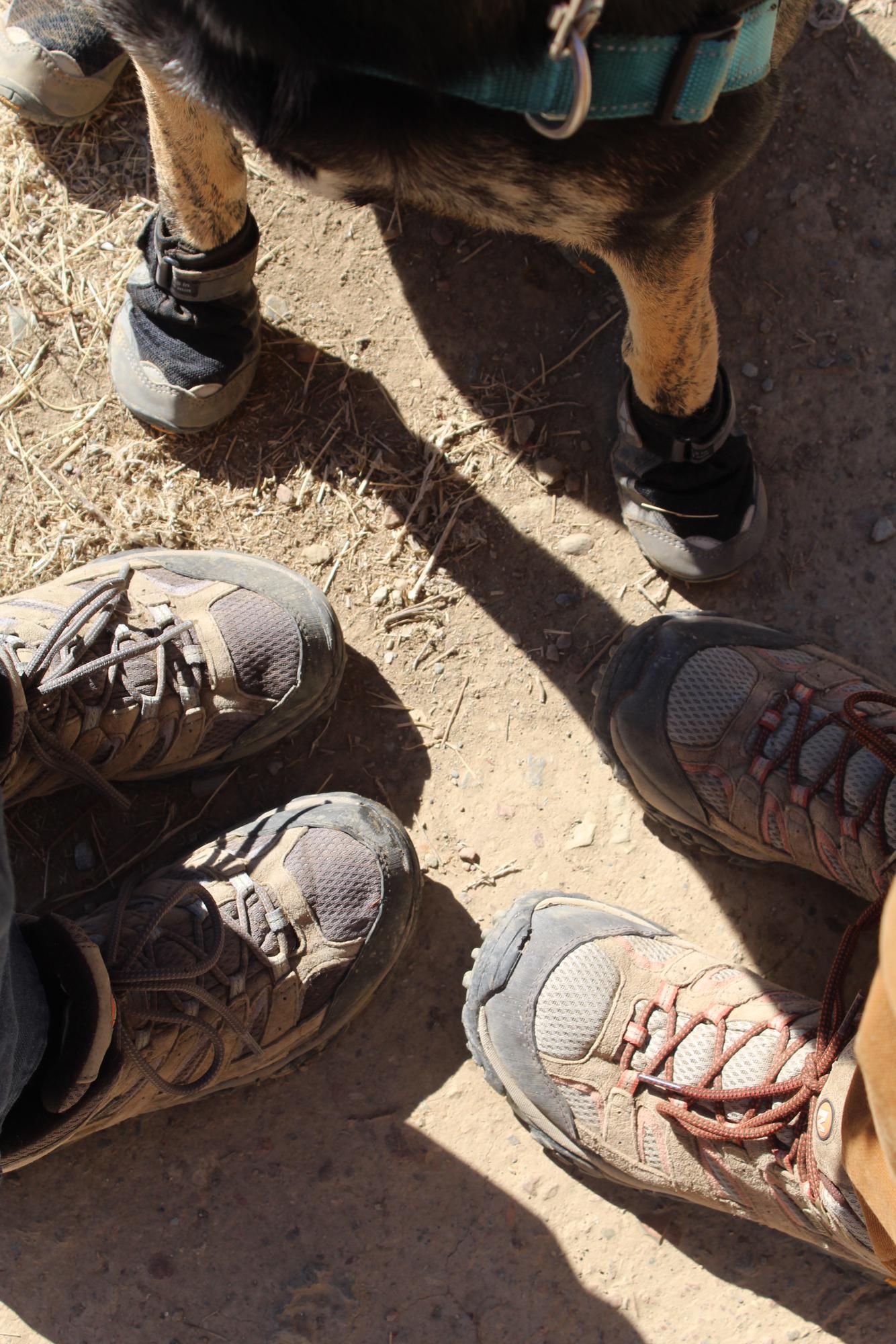 Family hiking boots
