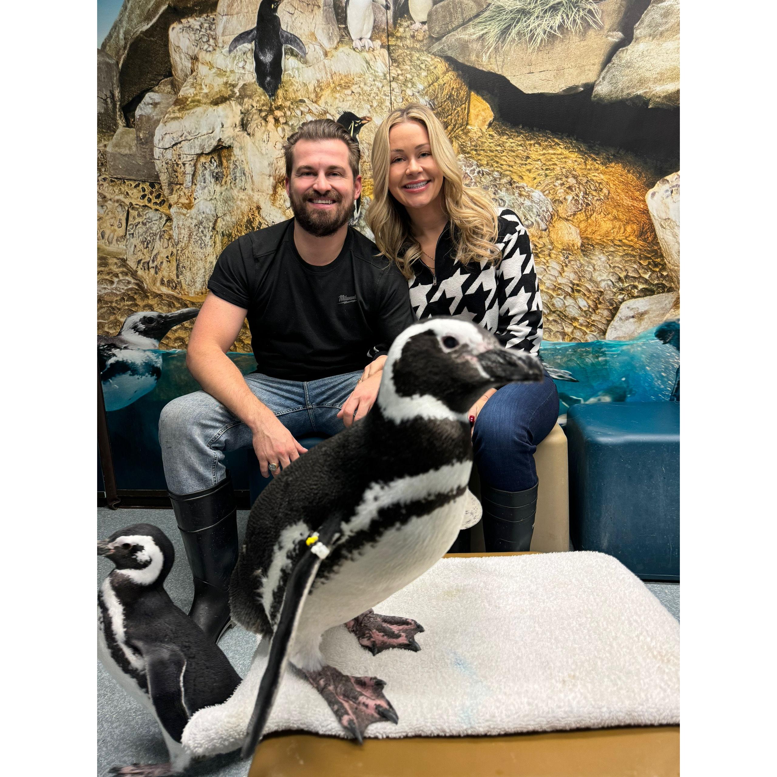 Meeting penguins for Cait's 29th birthday.