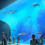 St. Louis Aquarium at Union Station