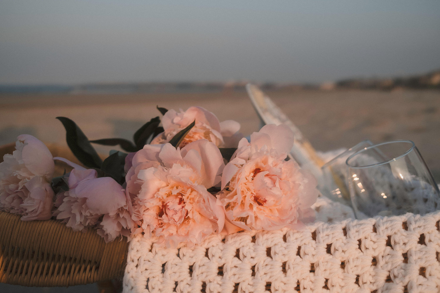 The Wedding Website of Diana Capellupo and Victor Silva