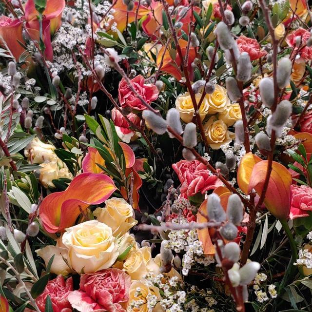 Plant Office Fresh Flower Subscription
