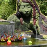 Atlanta Botanical Garden