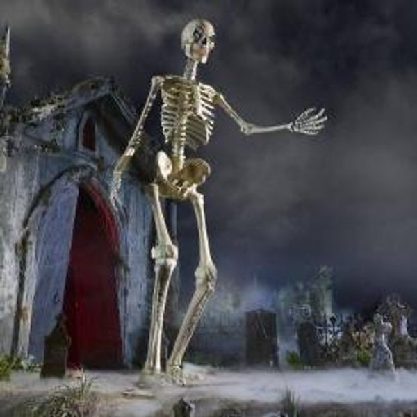 Jamie & Saskia’s 12 ft Skeleton Fund
