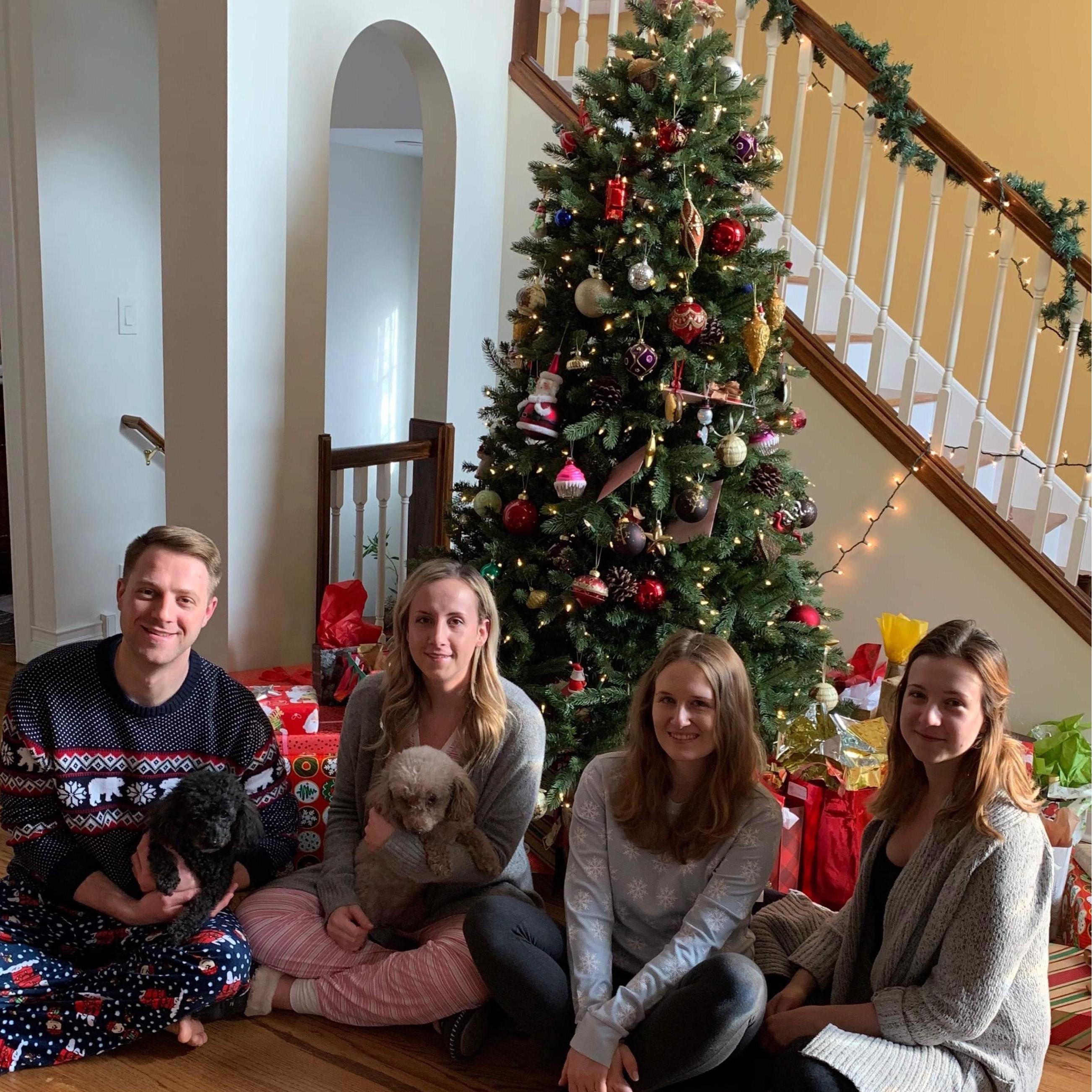 Christmas, Chicago 2018