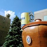 Coors Brewery Tour