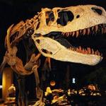 McWane Science Center