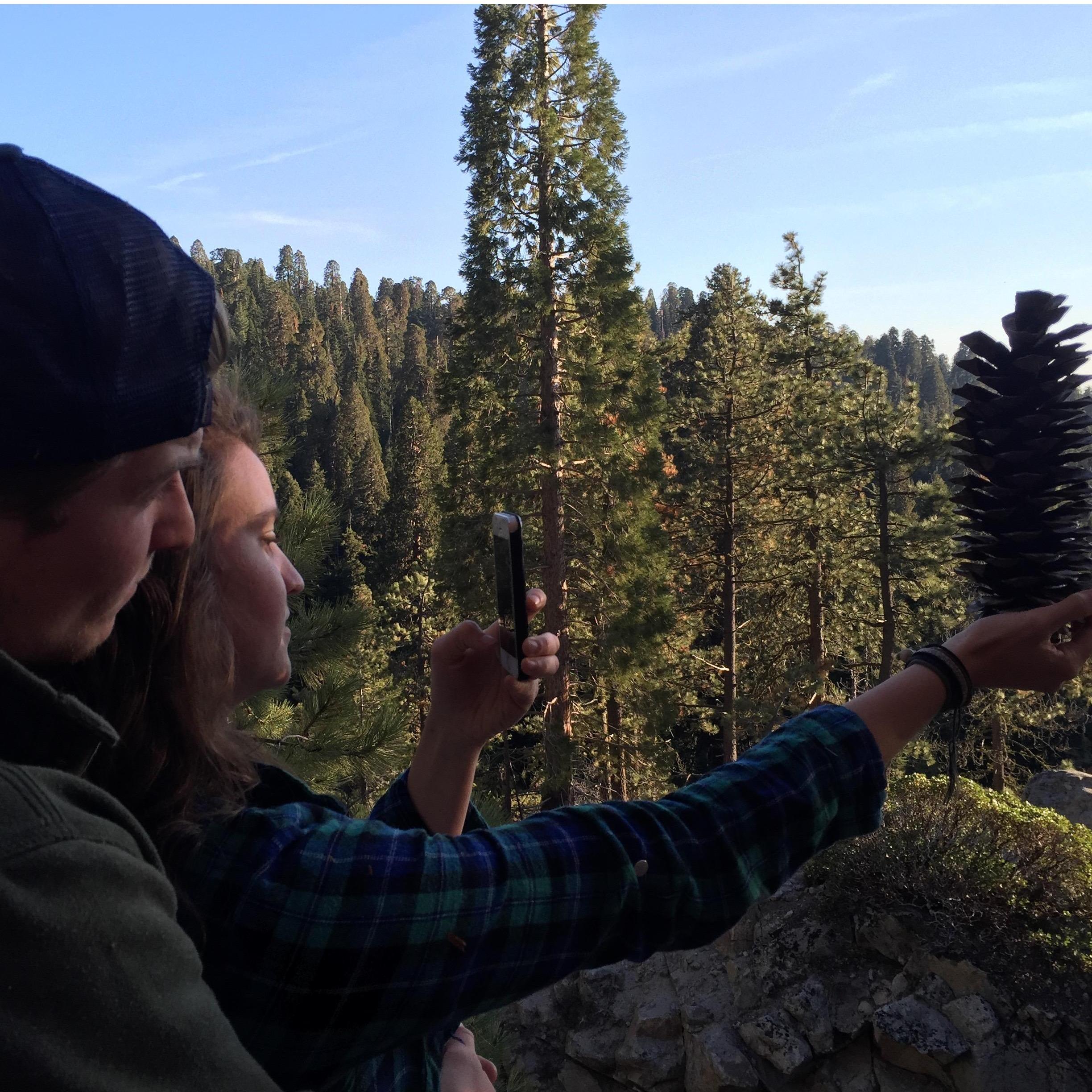 In the Trees :) Sequoia Natl Forest 2016