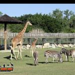 Frank Buck Zoo
