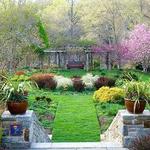 The Frelinghuysen Arboretum