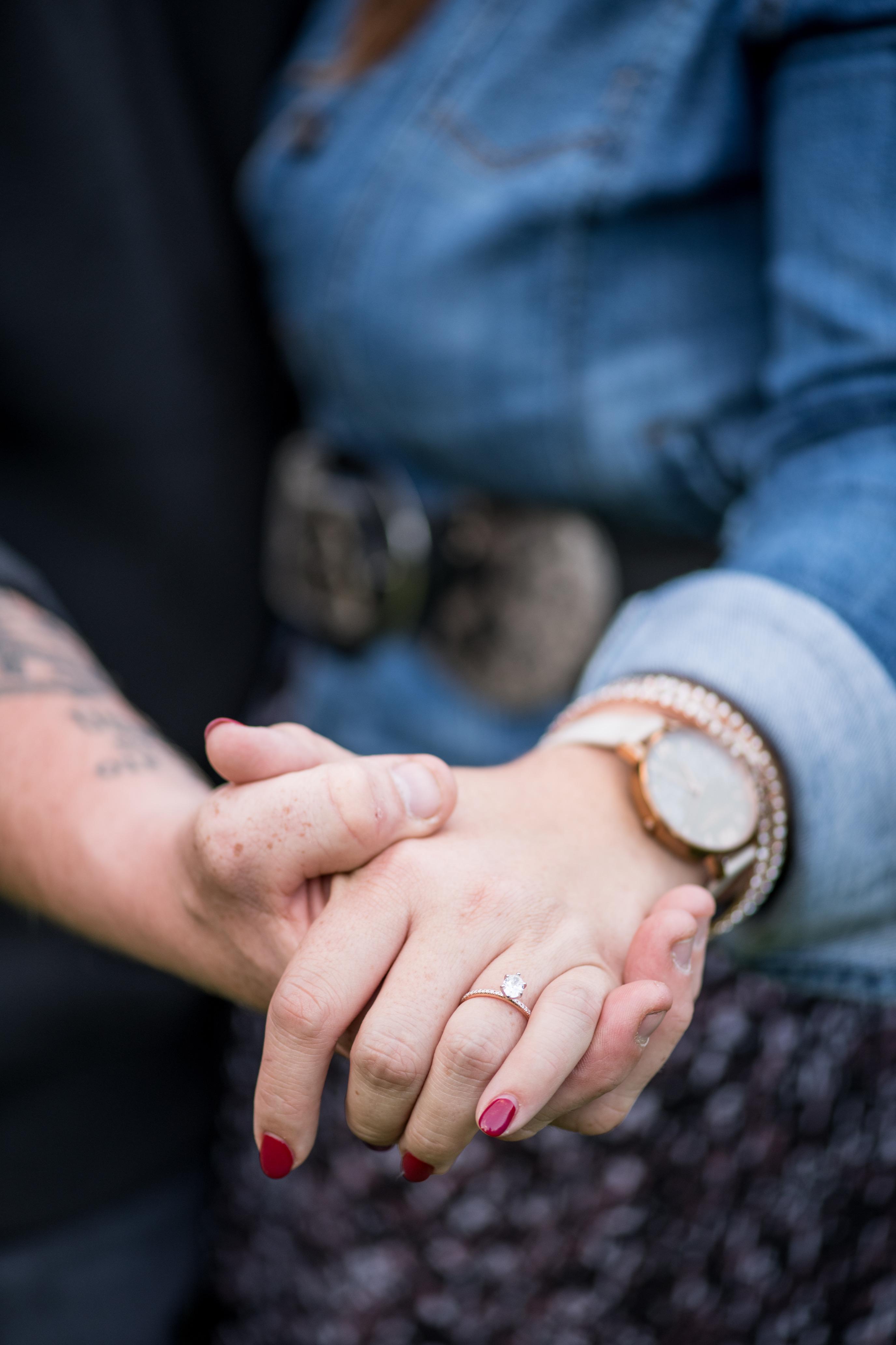 The Wedding Website of Lindsay Arcand and David Martwick