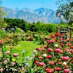 Descanso Gardens