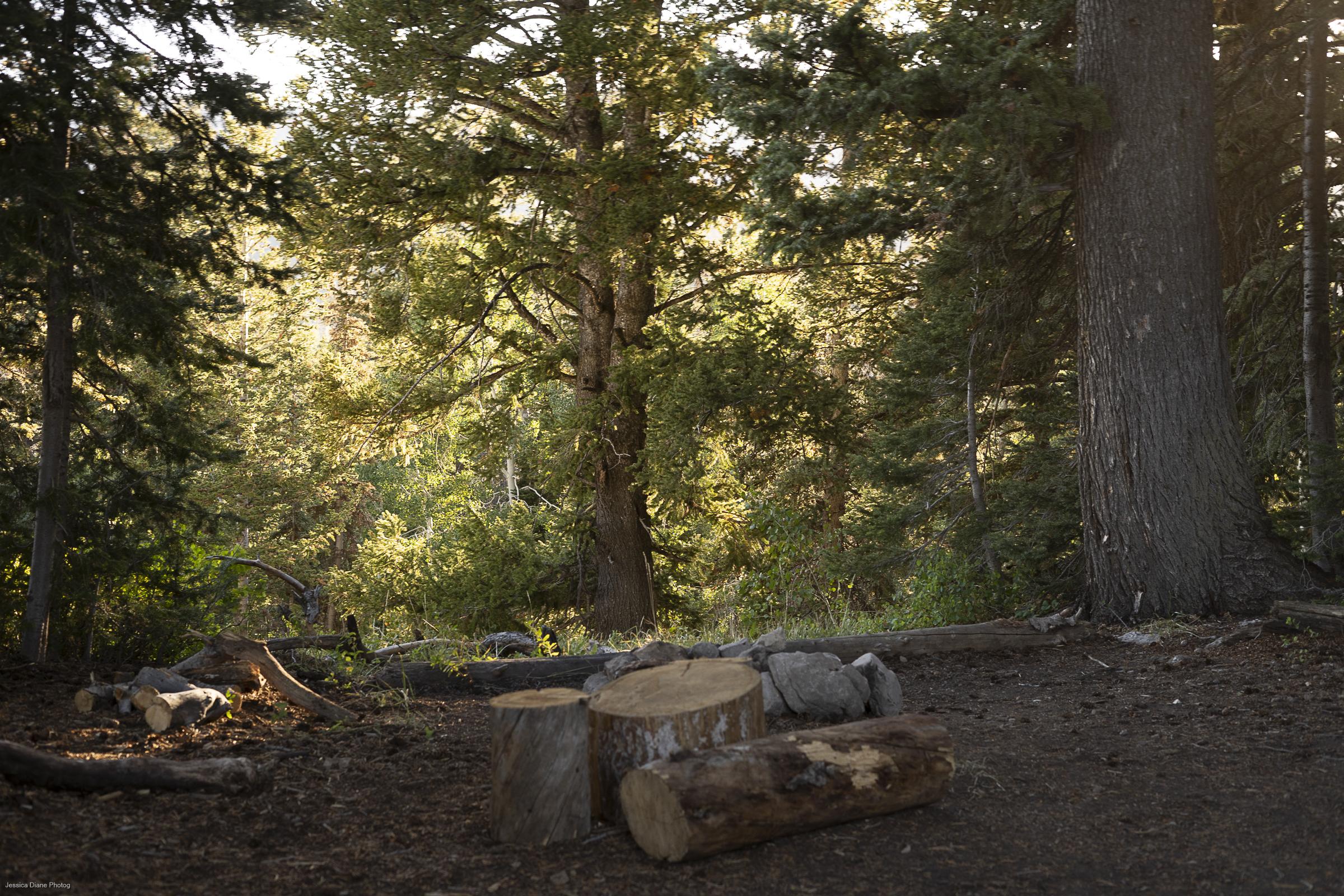 The Wedding Website of Emma Taylor and Gavin Miller