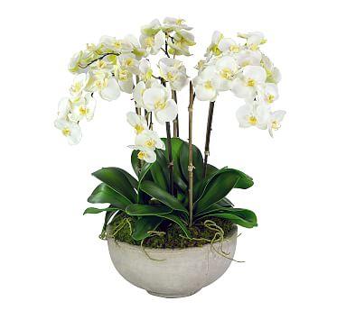 Faux Potted White Orchids In Bowl