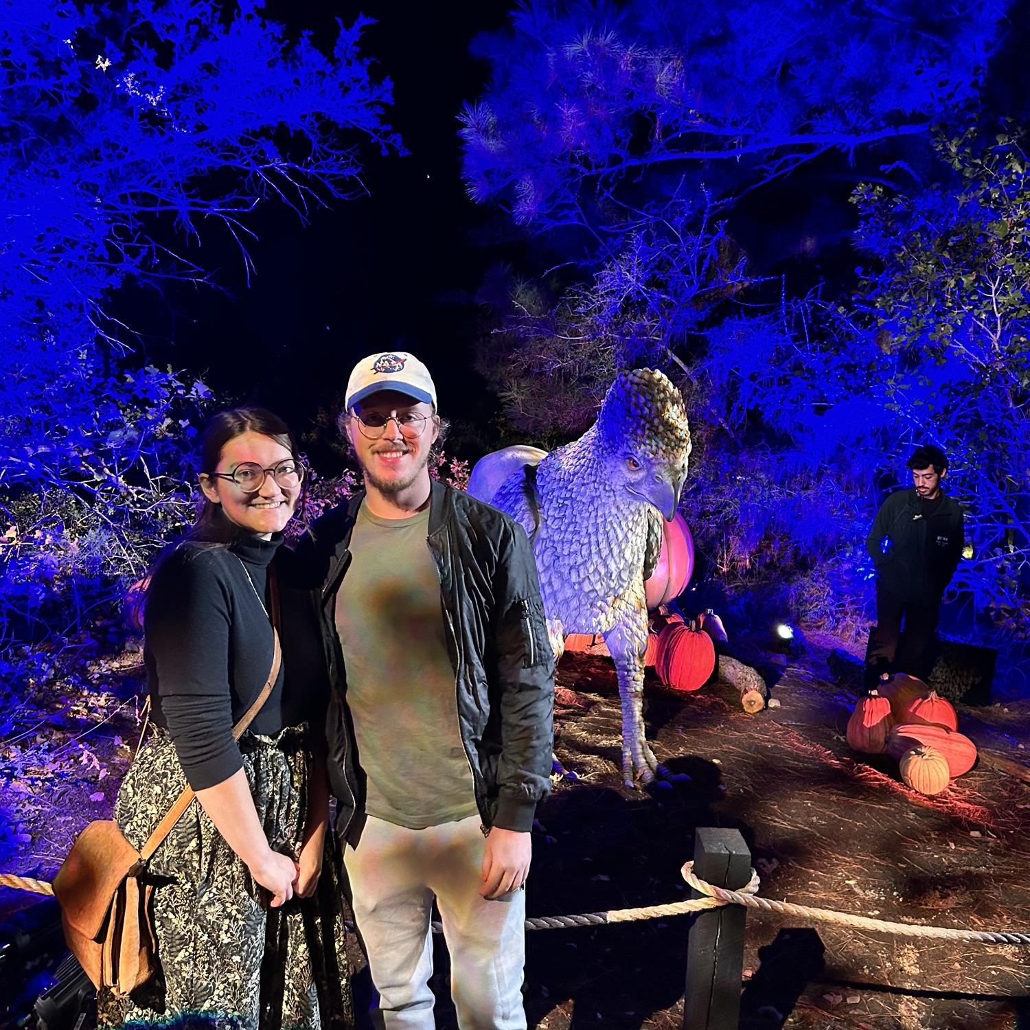 Forbidden Forest 2024