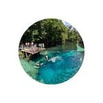 Blue Spring State Park